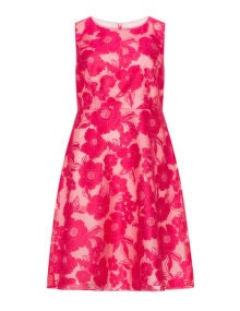 Studio 8 Fit-and-flare floral print dress  Pink / Pink