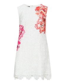 Apart Printed floral lace dress Ivory-White / Red