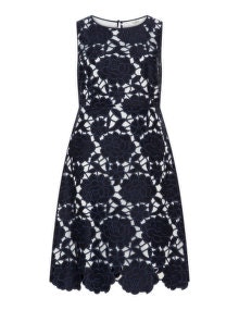 Studio 8 Floral crochet lace detail dress  Dark-Blue / Ivory-White