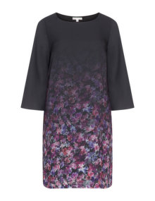 Baylis and May Gradient and floral print dress Black / Multicolour