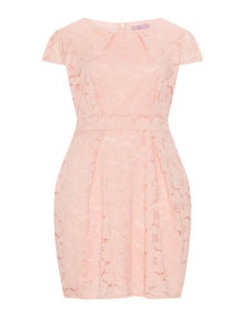 Velvet Pop Short lace dress Pink