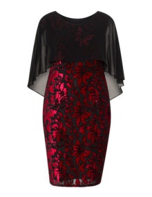 Gina Bacconi Floral burnout cocktail dress Black / Red